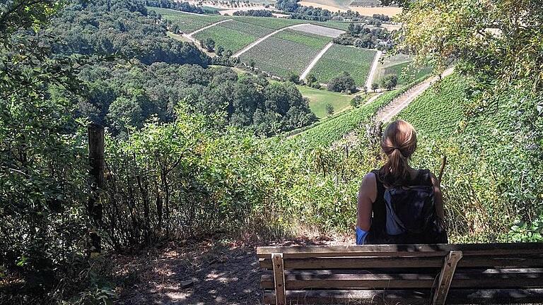 Traumrunde Castell: Immer wieder öffnen sich auf der Wanderung Blicke ins weite Land, die sich lohnen. Weinberge und Wald begleiten den Wanderer auf der 12,3 Kilometer langen Strecke.