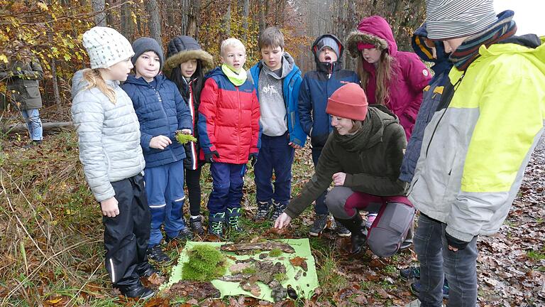 Die Försterin Claudia Stiglbrunner bespricht mit den Kindern ihre Funde aus dem Wald.