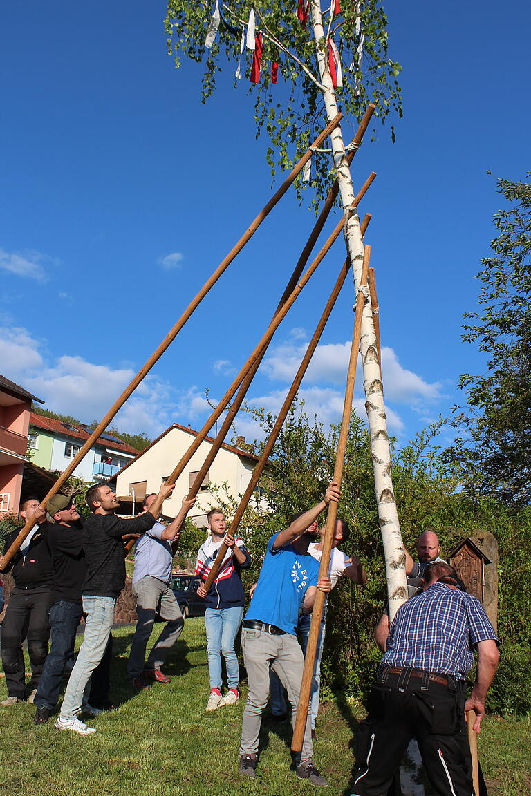 Siedler beim Maibaumaufstellen