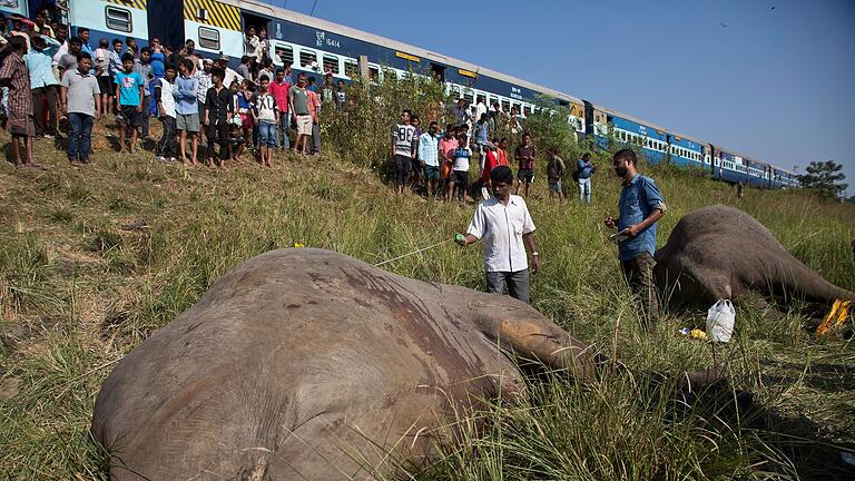 Zwei Elefanten von Zug getötet       -  Wildlebende Elefanten werden in Indien immer wieder Opfer von Zugunglücken. Intelligente Systeme sollen helfen, das zu verhindern.