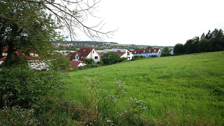 Das Archivfoto zeigt einen Blick auf einen Teil des Hanggeländes am Kitzinger Wilhelmsbühl, wo sich das private Baugebiet einfügen soll.