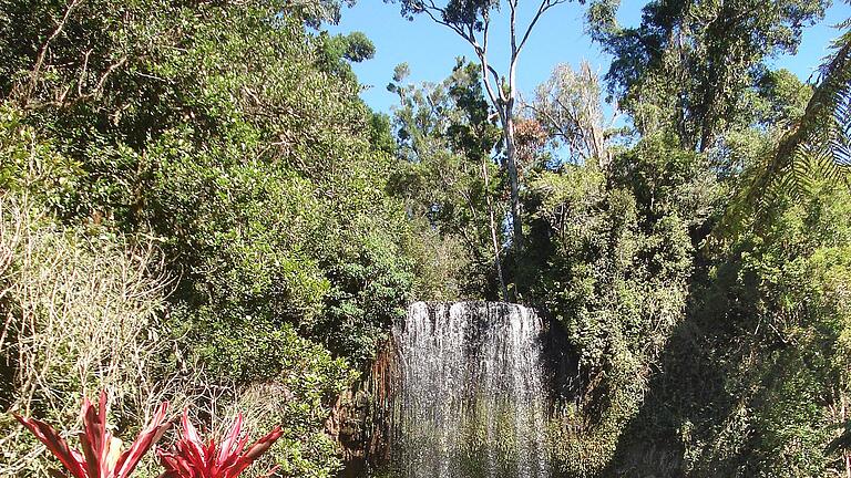 Millaa Millaa Falls       -  Unfälle an den Millaa Millaa Falls sind sehr selten. (Archivbild)