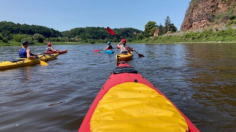 So wie im vergangenen Jahr - das Foto entstand auf der Elbe - bietet der Ruder-Club auch heuer wieder Wanderfahrten im Ruderboot oder Kanu an.