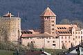 Die Burg Rieneck&nbsp;ist eine um 1150 entstandene Höhenburg&nbsp;über der Stadt Rieneck im Sinntal. Sie&nbsp;ist heute die Jugendburg des Verbandes Christlicher Pfadfinderinnen und Pfadfinder.&nbsp;
