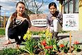 Sendelbacher Grundschüler freuen sich über Frühlingsboten       -  (mrl)   &bdquo;Von Neugier gepackt/Hat die Zwiebel einen langen Hals gemacht./Da hat ihr der Frühling entgegen gelacht&ldquo;. In diesen Zeilen aus dem Gedicht &bdquo;Die Tulpe&ldquo; von Josef Guggenmos verabschieden die bunten Frühblüher den Winter. Auch an der Grundschule in Sendelbach lachen vor dem Eingang die Frühlingsboten mit &bdquo;einem hübschen Tulpengesicht&ldquo; der Sonne entgegen. Die Tulpen- und Osterglockenzwiebeln hatten im Spätherbst die Kinder der Ethikgruppe tief in der Erde vergraben, wo sie bis jetzt schliefen. Seit Fasching schauten die Kinder, ob endlich die ersten Blätter einen langen Hals machen. Jetzt ist es soweit: Die Blüten stehen in voller Pracht und erfreuen die Schüler und Besucher, besonders aber die Kinder der Ethikgruppe. Hintergrund der Aktion war nicht nur, den neuen Eingang zu gestalten. Zum Bildungsauftrag der Schule gehört auch, bei den Kindern Verantwortungsbewusstsein für Natur und Umwelt zu wecken. Nur wer selbst mit anpackt, erlernt die Wertschätzung einer Natur. Deshalb ist es nicht überraschend, dass die Kinder &bdquo;ihre Tulpen&ldquo; hegen und beschützen