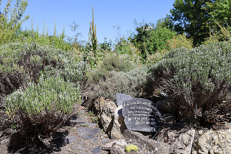 Stille Kräutergarten Stille Kräutergarten