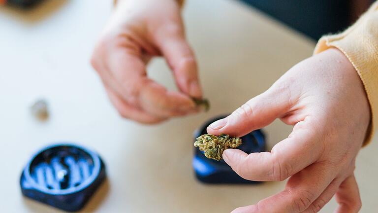 Cannabis       -  Verstecken muss man sein Cannabis zwar nicht mehr. Aber unachtsam auf Regalen und Tischen platziert, kann es zur Gefahr für Haustiere werden.
