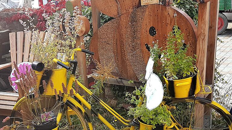 Alte Fahrräder muss man nicht wegwerfen: sie wirken als Blumenständer im Garten sehr dekorativ