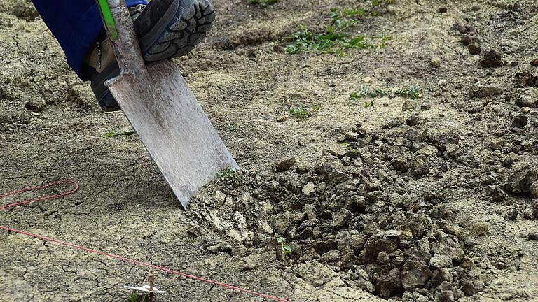 Die Grabungen laufen: Die 'Wüstung Seehausen' bei Duttenbrunn im Landkreis Main-Spessart wird in den nächsten Monaten archäologisch erforscht. Die Grabungen laufen: Die 'Wüstung Seehausen' bei Duttenbrunn im Landkreis Main-Spessart wird in den nächsten Monaten archäologisch erforscht. 