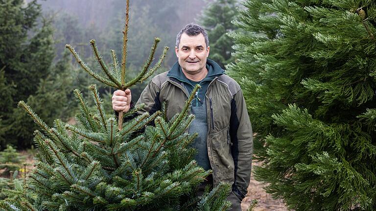 Alexander Dennda verkauft Weihnachtsbäume in der Nähe von Gramschatz. Er weiß, wie auch Laien einen frischen Baum erkennen können.