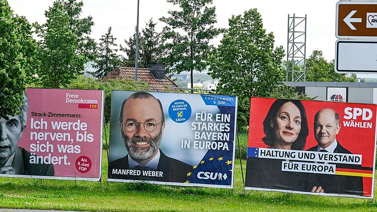 Wie haben die Parteien in Stadt und Landkreis Würzburg abgeschnitten? Die Auszählung läuft. In der Stadt haben die Parteien mit großen Plakaten Werbung für die Europawahl 2024 gemacht.