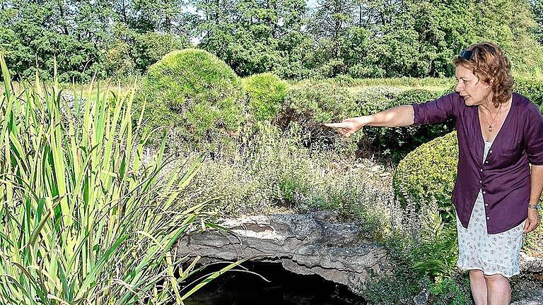 Brigitte Goss, Fachberaterin für Gartenbau im Landratsamt, erklärt am Biotop, wie wertvoll Sumpfschwertlilien für Libellen sind. Brigitte Goss, Fachberaterin für Gartenbau im Landratsamt, erklärt am Biotop, wie wertvoll Sumpfschwertlilien für Libellen sind.