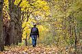 Die Wälder und Weinberge in Unterfranken laden im Herbst auf ihre Wanderrouten in die farbenfrohe Natur ein, wie hier auf einer der zahlreichen Strecken durch die Rhön.