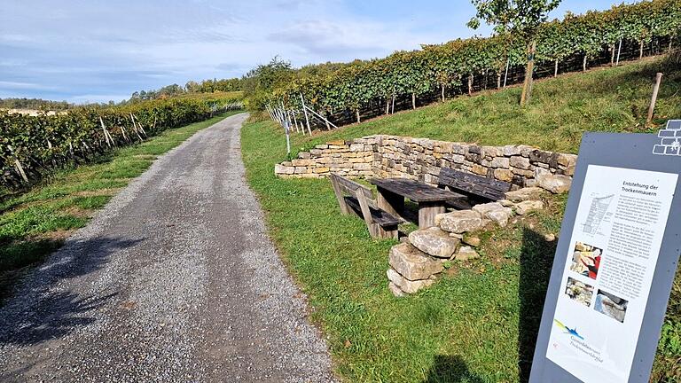 Bergab führt der Natura Trail 330 Meter nach der Maschinenhalle zum Weinwanderweg Güntersleben entlang des Weinlehrpfads der Günterslebener Weinbergslage 'Sommerstuhl', wo an mehreren Stationen Tafeln über die 'Fränkische Realteilung', den 'Lebensraum Trockenmauer', über Bildstöcke als 'Zeugnis der Frömmigkeit' oder die Beschaffenheit des Bodens im Weinberg informieren. Bergab führt der Natura Trail 330 Meter nach der Maschinenhalle zum Weinwanderweg Güntersleben entlang des Weinlehrpfads der Günterslebener Weinbergslage 'Sommerstuhl', wo an mehreren Stationen Tafeln über die 'Fränkische Realteilung', den 'Lebensraum Trockenmauer', über Bildstöcke als 'Zeugnis der Frömmigkeit' oder die Beschaffenheit des Bodens im Weinberg informieren.