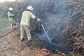 Beim zweiten Einsatz der Feuerwehr Haßfurt am Dienstag brannte eine Hecke auf einem städtischen Grundstück nahe des Osterfeldweges.