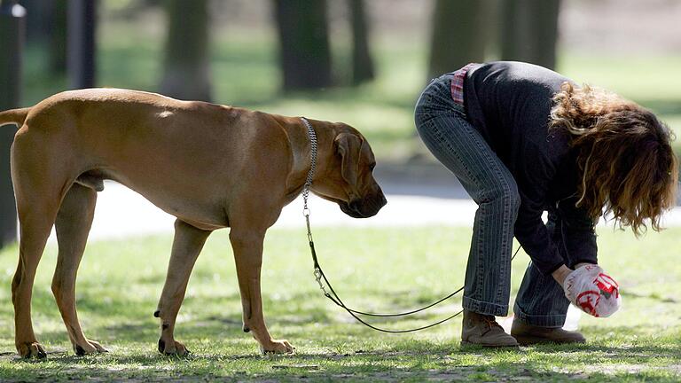 Was macht Frauchen da? Sie putzt deinen Hundehaufen weg, so wie es sein sollte. So wie auf diesem Symbolbild geschieht es aber keinesfalls immer, auch im Haßbergkreis nicht. Was macht Frauchen da? Sie putzt deinen Hundehaufen weg, so wie es sein sollte. So wie auf diesem Symbolbild geschieht es aber keinesfalls immer, auch im Haßbergkreis nicht.