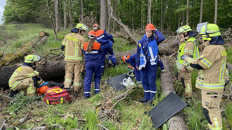 Meldung Waldunfall mit eingeklemmter Person. Meldung Waldunfall mit eingeklemmter Person.