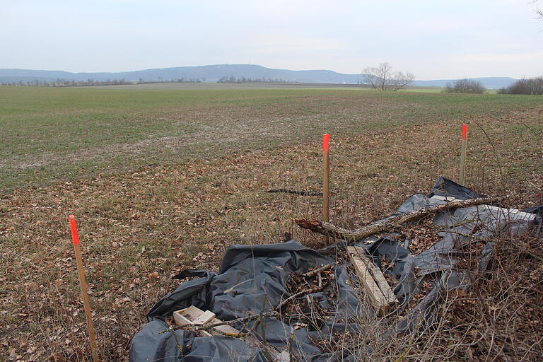 Salat vor den oren Wiesentheids: Auf diesen Flächen im Ostenvon Wiesemtheid plant ein holländisches Unternehmen den Bau einer Salatzucht.