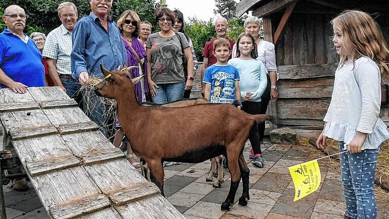 Ein Besuch bei den Ziegen.