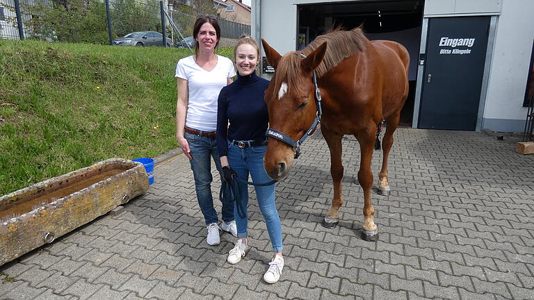 Praktische Beispiele wurden beim Workshop für Hufschmiede in Ebelsbach an Trahener 'Teddy' vorgeführt. Besitzerin Lisa Stark (rechts) und die behandelnde Osteopathin Carina Breitenbach (links) eröffneten dem Fachpublikum Einblicke in die Therapie.