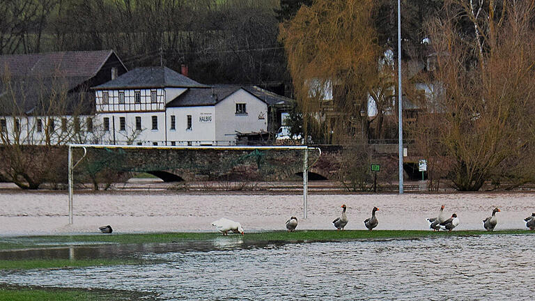 Land unter beim TSV Euerdorf       -  So sah es am Mittwochnachmittag aus beim TSV Euerdorf.