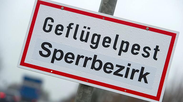 Ein Schild mit der Aufschrift 'Geflügelpest Sperrbezirk' steht an einer Straße. Weiter gibt es keine Entwarnung im Landkreis Haßberge.