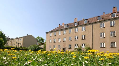 Stadtbau       -  Es entsteht wieder ein 'Stadtteil' im Stadtteil Zellerau, Neuer Lebensraum Brunostraße