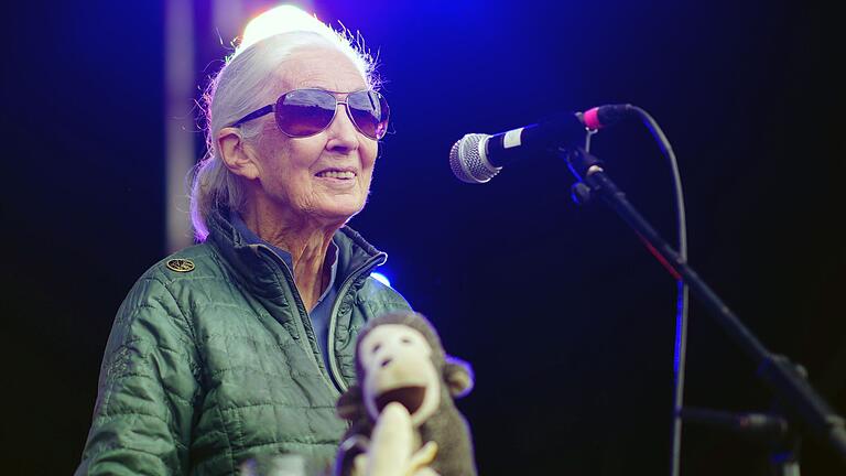 Jane Goodall       -  Jane Goodall auf der Greenpeace-Bühne beim Glastonbury Festival in Worthy Farm.