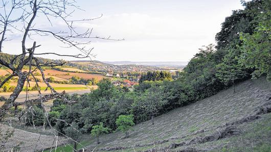 Belohnung nach drei Steilstellen: Der Blick über die Haßgaulandschaft.