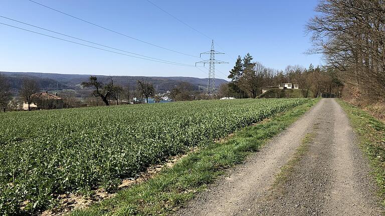 Darüber wird in Ebelsbach heiß diskutiert: Das geplante Baugebiet 'Am Herrenwald'.