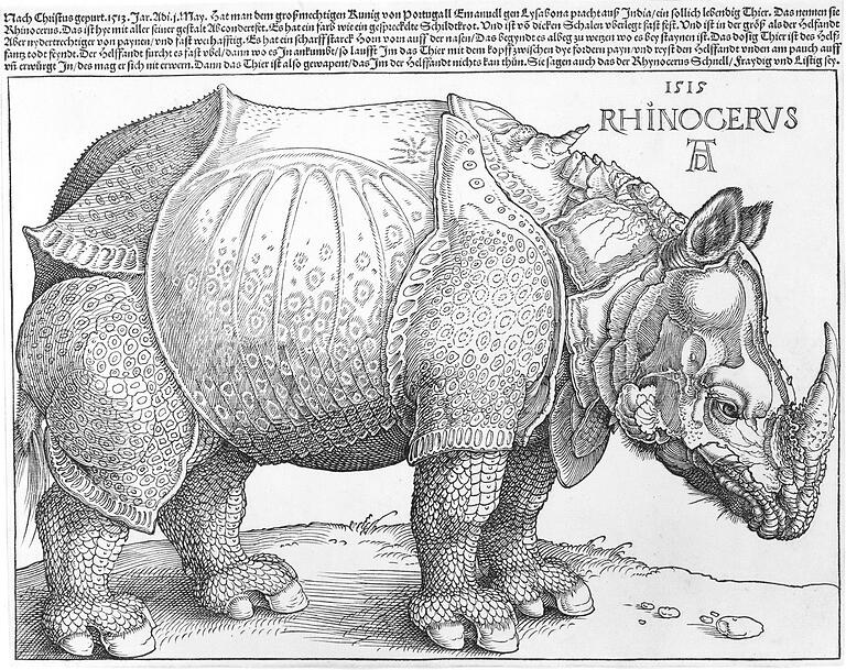 Albrecht Dürers berühmtes Rhinozeros auf einem Holzschnitt von 1515 ist selbstverständlich auch Teil der Sammlung Otto Schäfer. Albrecht Dürers berühmtes Rhinozeros auf einem Holzschnitt von 1515 ist selbstverständlich auch Teil der Sammlung Otto Schäfer.