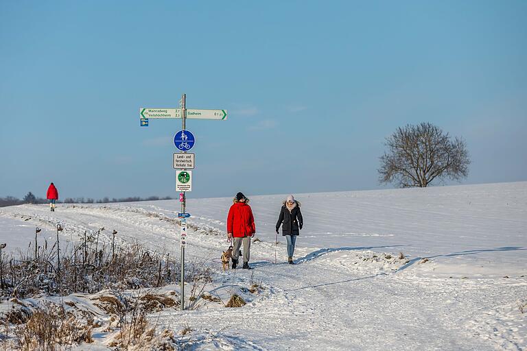 Rund um Gadheim unterwegs: Die Witze-Runde führt vorbei an Wiesen und Feldern sowie am Waldrand entlang. Rund um Gadheim unterwegs: Die Witze-Runde führt vorbei an Wiesen und Feldern sowie am Waldrand entlang.