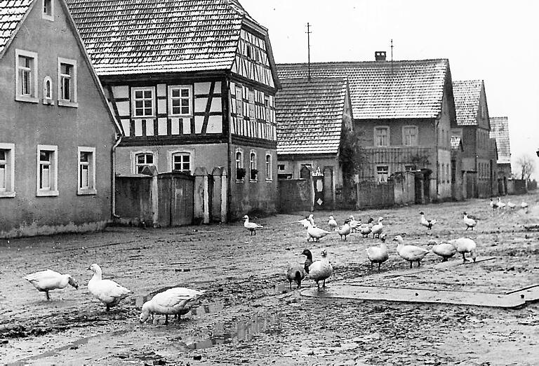 Augsfeld war bekannt für seine vielen Gänse auf der Dorfstraße.