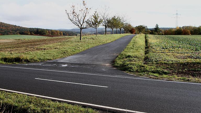 Hier der Weg zum Einödhof Doktorshof, während der Funkmast vorne links 65 Meter von der Zufahrtsstraße und 15 Meter von der Kreisstraße HAS 59 (im Vordergrund) entstehen soll.