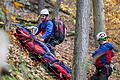 Rettungssimulation der Lohrer Forstverwaltung mit Rettungskräften des THW, BRK und der Bergwacht Frammersbach im Lohrer Stadtwald.