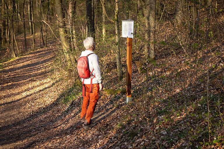 Das Besondere auf der Tour sind die literarischen Stationen: Tafeln mit Gedichten des aus Gössenheim stammenden Heimatdichters Robert Ammersbach. Das Besondere auf der Tour sind die literarischen Stationen: Tafeln mit Gedichten des aus Gössenheim stammenden Heimatdichters Robert Ammersbach.