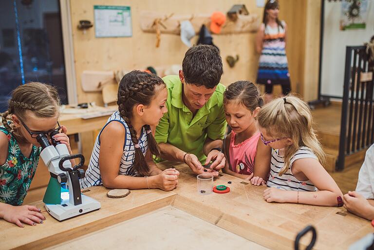 Das Bildungs- und Programmangebot im Steigerwald-Zentrum ist vielfältig. Das Archivfoto aus dem Jahr 2018 zeigt junge Teilnehmer, die im Waldlabor und in der Waldwerkstatt forschen und werken.