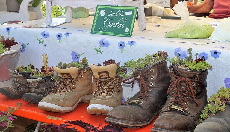 Originelle Gartendeko passt sogar in alte Schuhe. Originelle Gartendeko passt sogar in alte Schuhe.