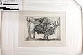 Das Bild zeigt ein kopiertes Bild von Pablo Picasso mit dem Titel LeTaureau IV.