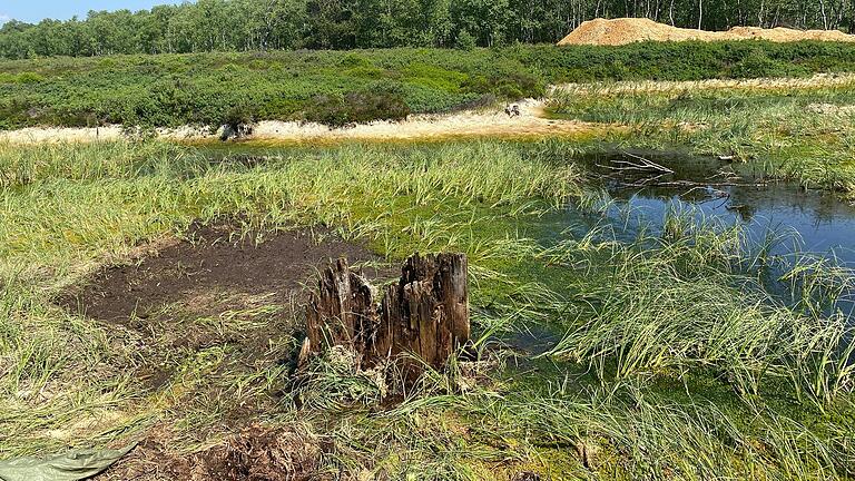 Völlig marode und nicht mehr funktionsfähig sind die früheren Holzbauwerke zur Wasserrückhaltung wie dieser Mönch.