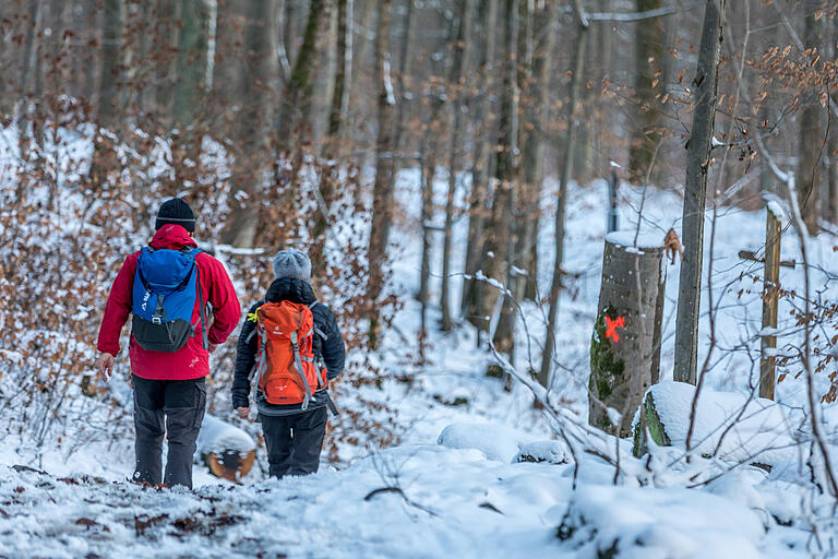 Unterwegs auf dem Naturlehrpfad Gangolfsberg am Donnerstag. Gutes Schuhwerk und der Witterung angepasste Kleidung sind empfohlen.