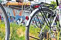 Auf dem Mauerradweg: Die komplette Strecke entlang der ehemaligen Berliner Mauer ist etwa 160 Kilometer lang. Für die gesamte Strecke müssen auch begeisterte Radfahrer mehrere Tage einplanen.Fotos: Bastian Sünkel