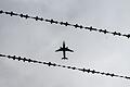 Weniger ausreisepflichtige Ausländer in Brandenburg.jpeg       -  Laven, ihre Eltern und Geschwister saßen schon im Abschiebeflugzeug. Dann brach die Mutter zusammen.