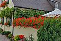Im Wettbewerb der gewerblichen Anwesen siegte knapp das Ferienhaus Wiek, Untere Maingasse, mit 273 Punkten beim Großen Blumenschmuckwettbewerb des Verschönerungsvereins Veitshöchheim.