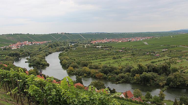 Ein Blick von den Weinbergen auf die Nordheimer Au. Daneben die alte Nordheimer Kiesgrube, die in den 70er Jahren wie ein Altarm des Maines angelegt wurde. Ganz links fließt der Main. Ein Blick von den Weinbergen auf die Nordheimer Au. Daneben die alte Nordheimer Kiesgrube, die in den 70er Jahren wie ein Altarm des Maines angelegt wurde. Ganz links fließt der Main.