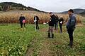 Gewässerberater Julian Megner (links) zeigt Landwirten und Anbietern von Saatgutmischungen für Zwischenfrüchte die positive Wirkung von Zwischenfruchtanbau auf dem Feld.