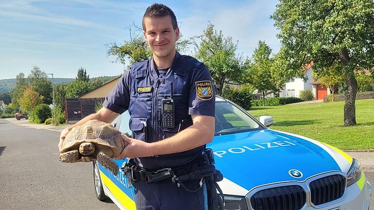 Der Bad Neustädter Polizist Moritz Fleckenstein mit Schildkröte Susi. Das ausgebüxte Tier rief die Polizei in Reyersbach auf den Plan.