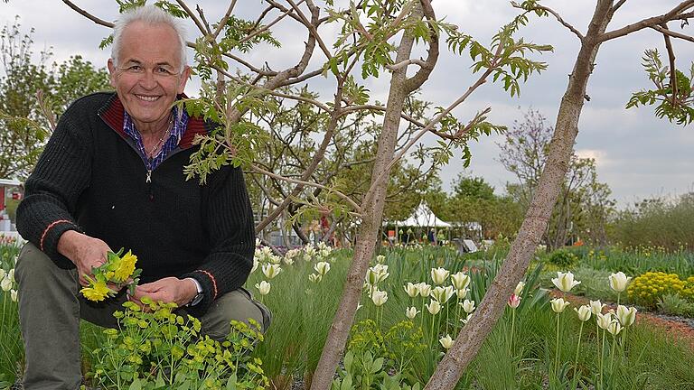 Gärtner- und Floristenmeister Friedemann Haug zeigt auf dem Landesgartenschaugelände in Würzburg Pflanzen, die Trockenheit vertragen, wie die Wolfsmilch im Vordergrund.