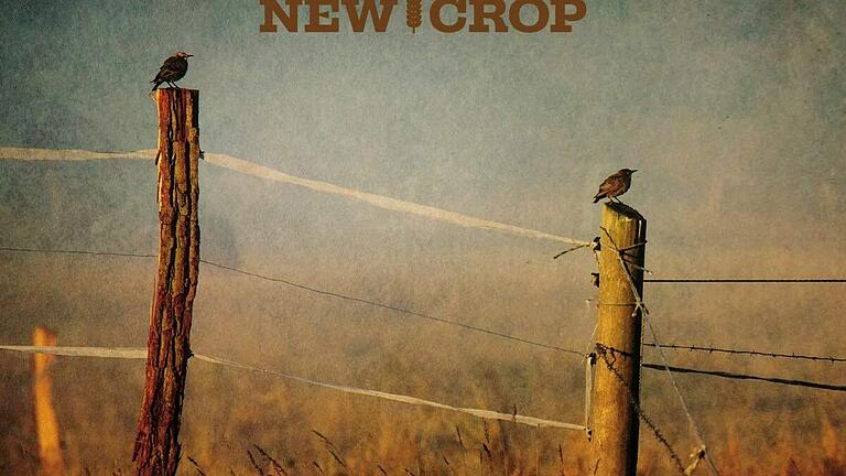 Cover: Markus Rill, "New Crop" Cover: Markus Rill, "New Crop"