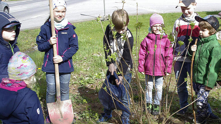 Graben, pflanzen, angießen. Die Kids haben den Dreh zum Tag des Baumes schon heraus. Foto: Winfried Ehling - Graben, pflanzen, angießen. Die Kids haben den Dreh zum Tag des Baumes schon heraus. Foto: Winfried Ehling Graben, pflanzen, angießen. Die Kids haben den Dreh zum Tag des Baumes schon heraus. Foto: Winfried Ehling - Graben, pflanzen, angießen. Die Kids haben den Dreh zum Tag des Baumes schon heraus. Foto: Winfried Ehling